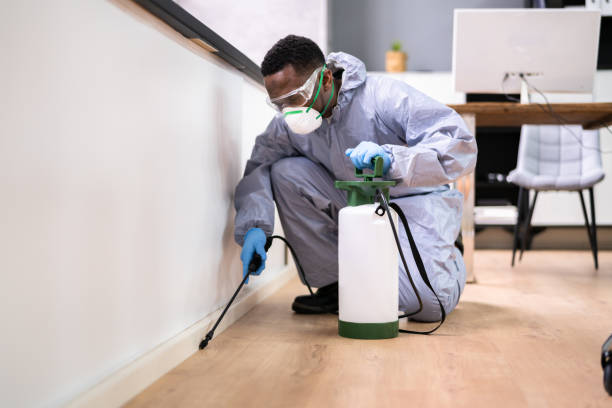 Best Fumigation Services  in Alachua, FL